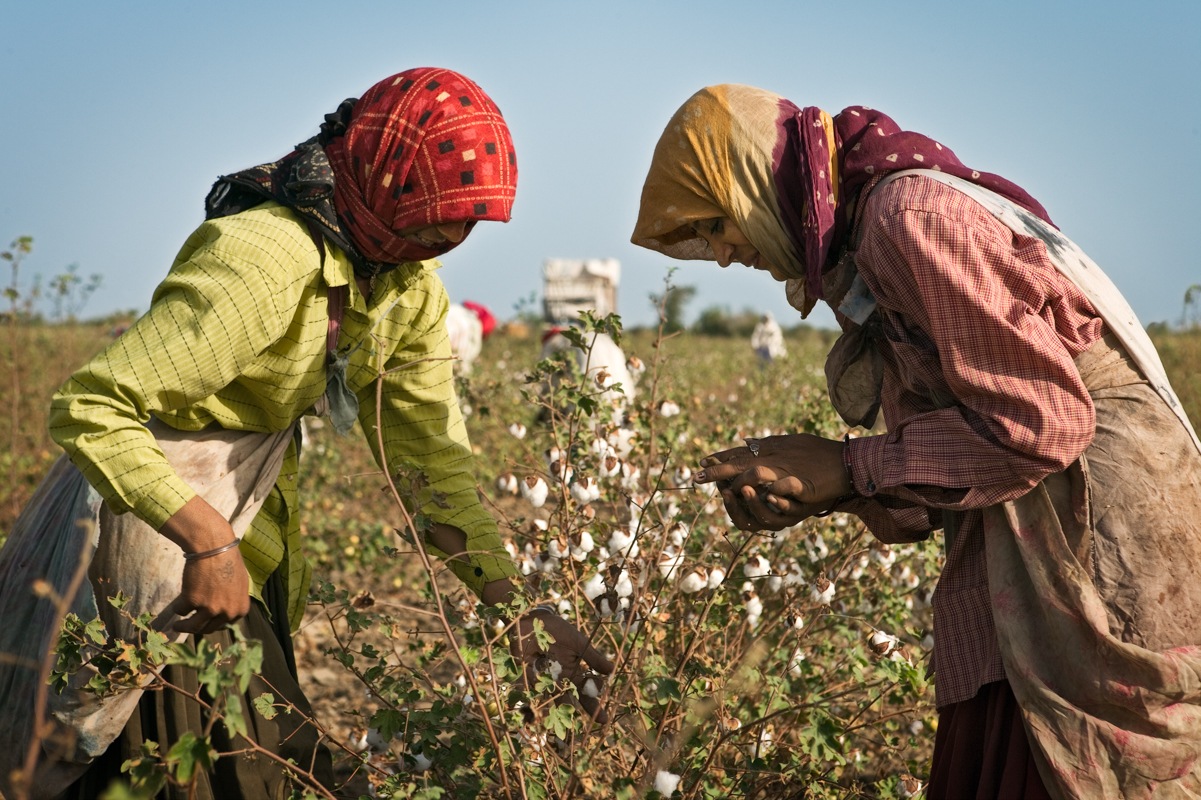 Fredric Roberts (American, b. 1942), Red Cotton Harvesters, Archival pigment print, 2006, Gift of Fredric Roberts, FIU 2019.6.31 
