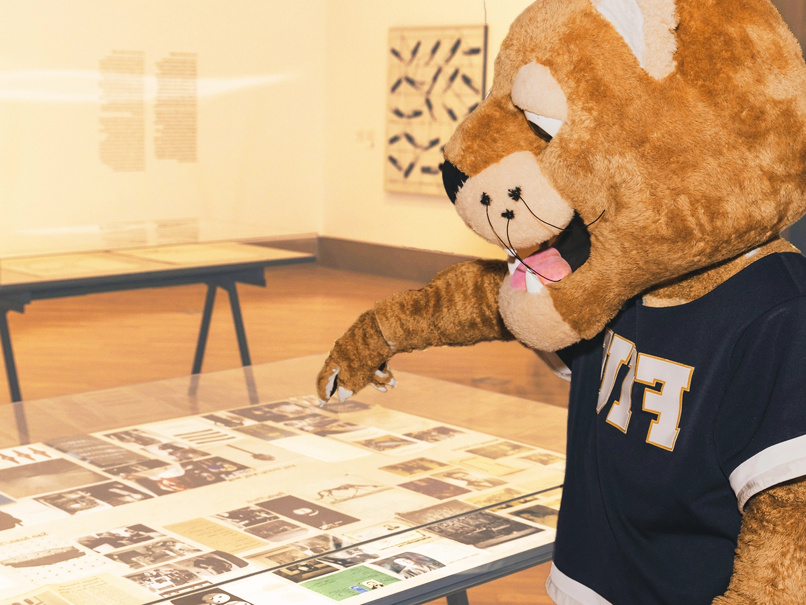 Visitor viewing a humorous exhibition of modified traffic signs at Frost Art Museum FIU.